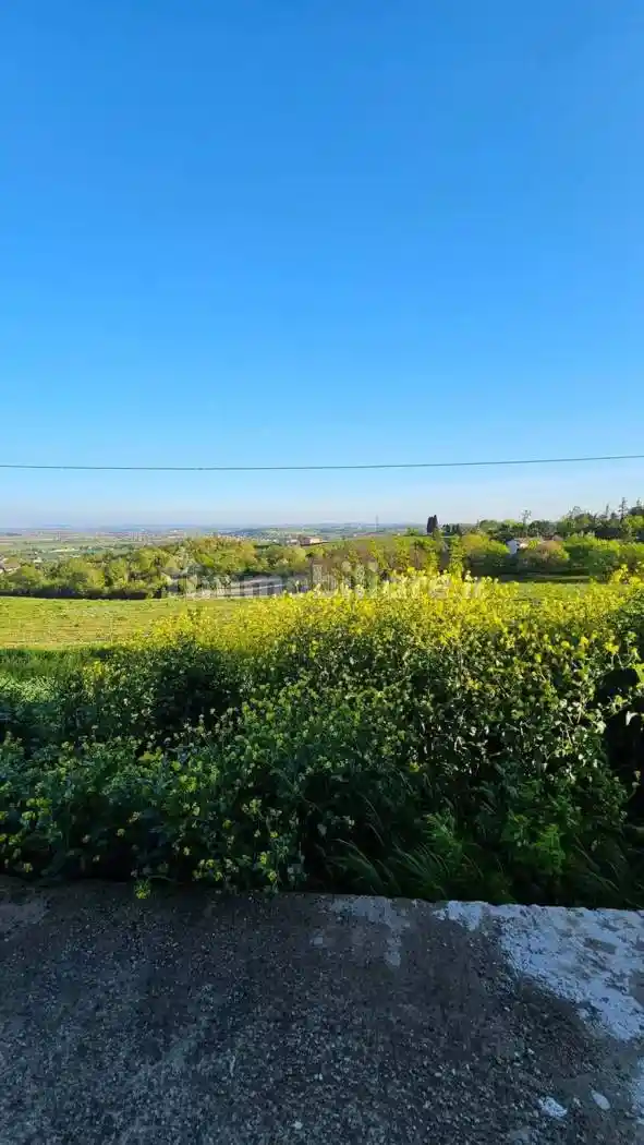 Villa unifamiliare salita Sant'Anna No Number, Ronzone, Salita Sant'Anna, Casale Monferrato - foto 5