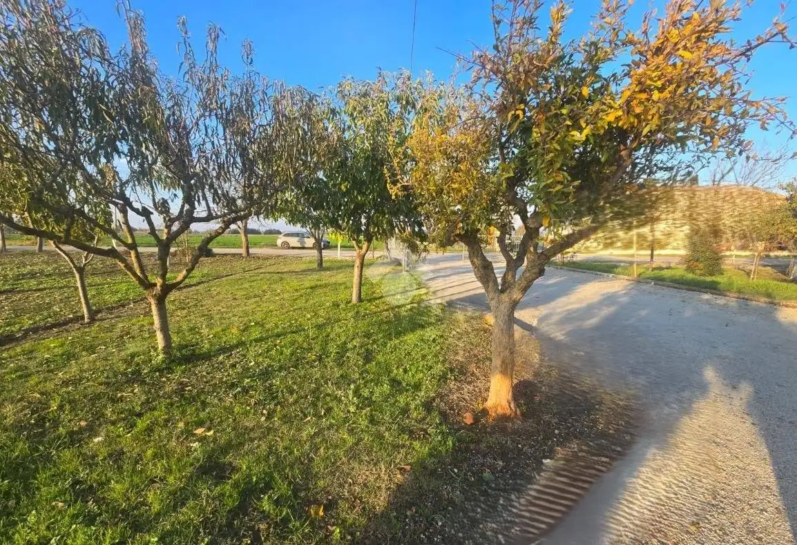 Villa in vendita a Rimini