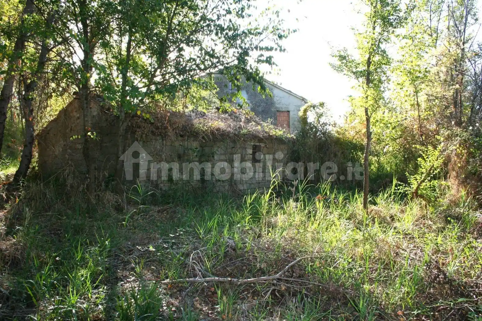 Casa colonica via Giuncare 49, Castelplanio - foto 2