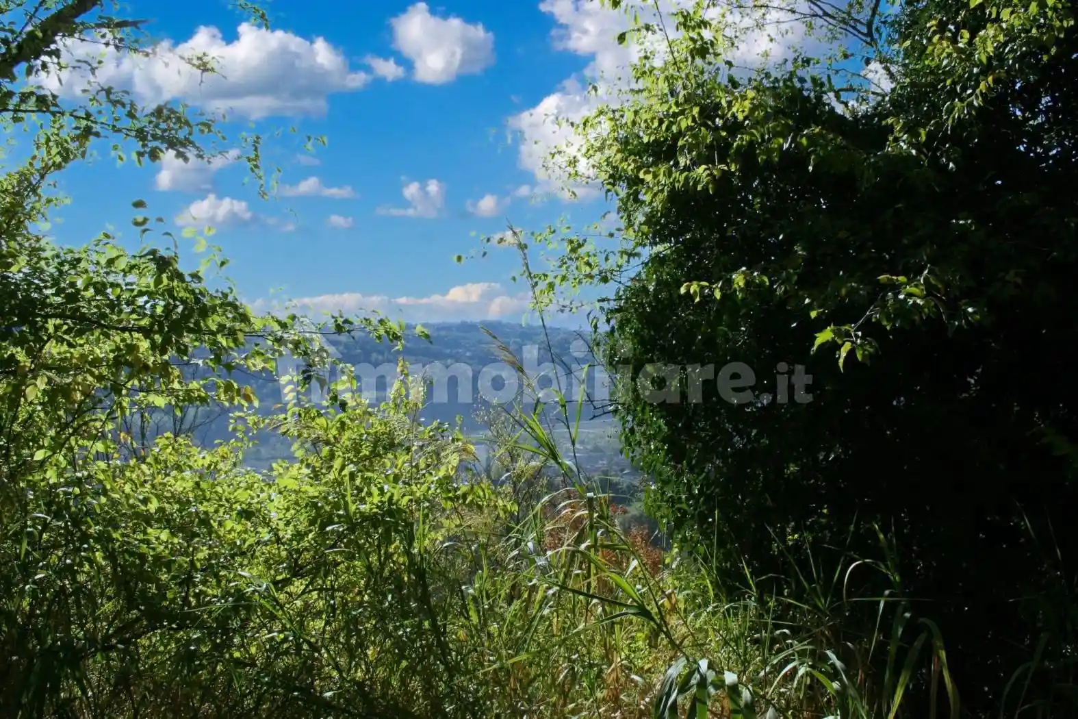 Casa colonica via Giuncare 49, Castelplanio - foto 5