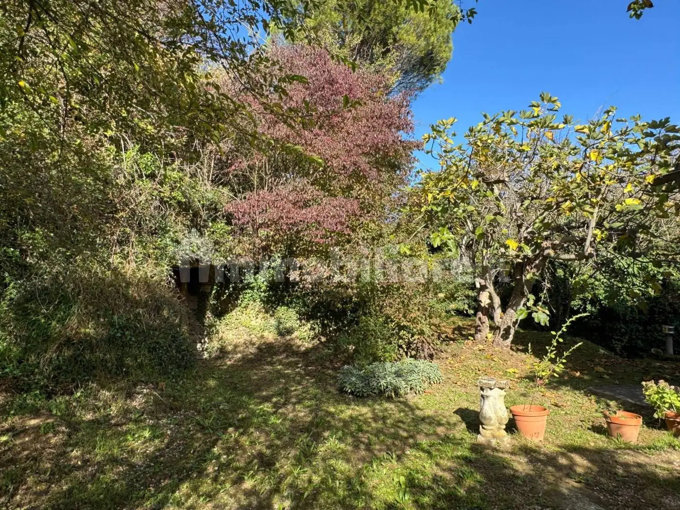 Casale, ottimo stato, 242 m², Chiusi - foto 5