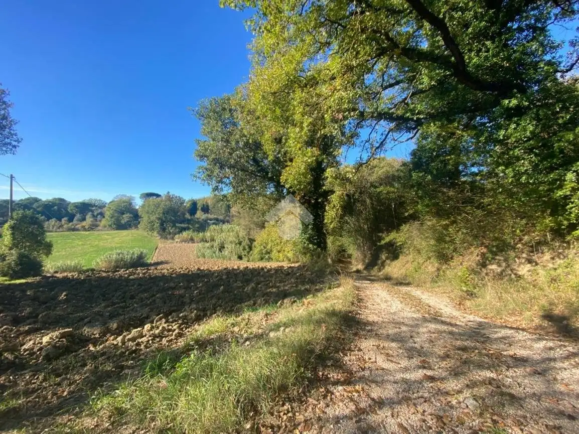 Rustico Strada delle fontane selvarelle, Acquasparta - foto 2