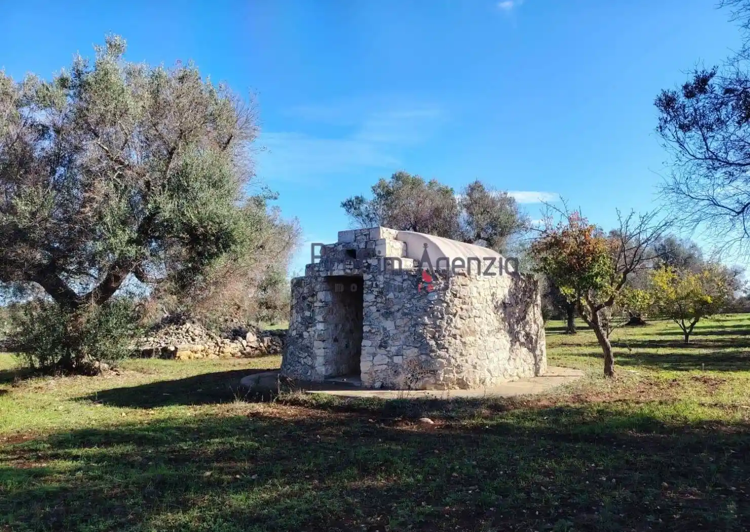 Rustico - Casale in vendita a San Vito dei Normanni