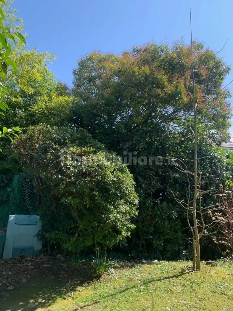 Villa unifamiliare Strada Moncalvo 68/1, Revigliasco - Maddalena, Moncalieri - foto 5