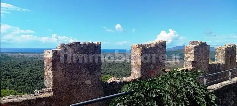 Appartamento in affitto a Capalbio