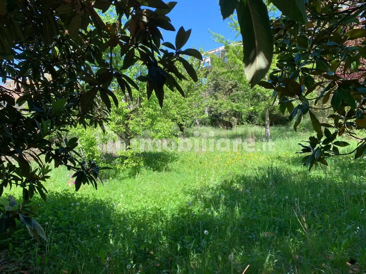 Casale corso Giuseppe Garibaldi, Centro, Bojano - foto 5