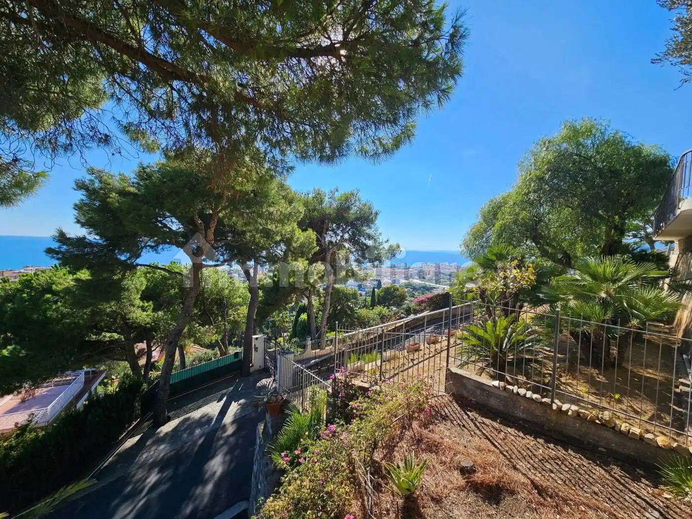 Villa unifamiliare via Bellavista, Piani di Borghetto, Ospedale, Bordighera - foto 4