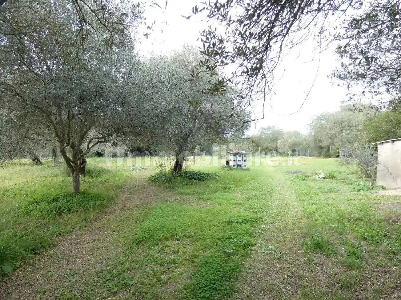 Villa unifamiliare Sv Li Cadduffi, Caniga, Sassari - foto 3