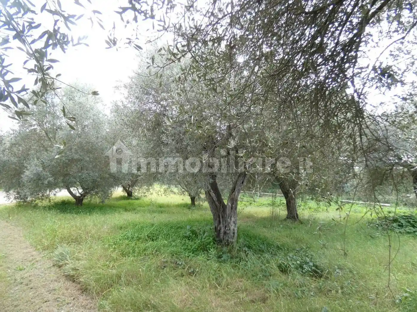 Villa unifamiliare Sv Li Cadduffi, Caniga, Sassari - foto 4