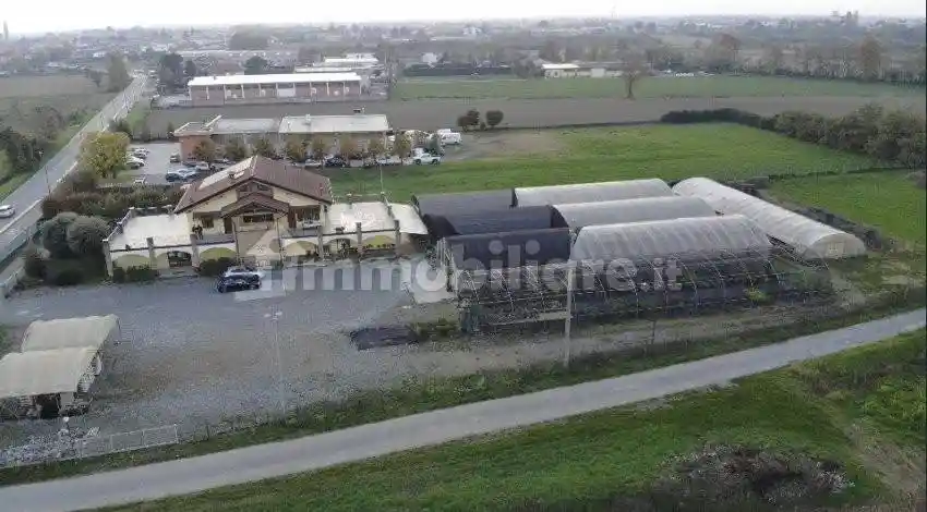 Palazzo - Edificio - foto 3