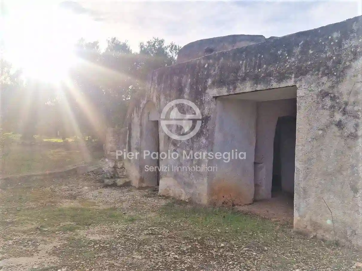 Rustico - Casale - foto 5