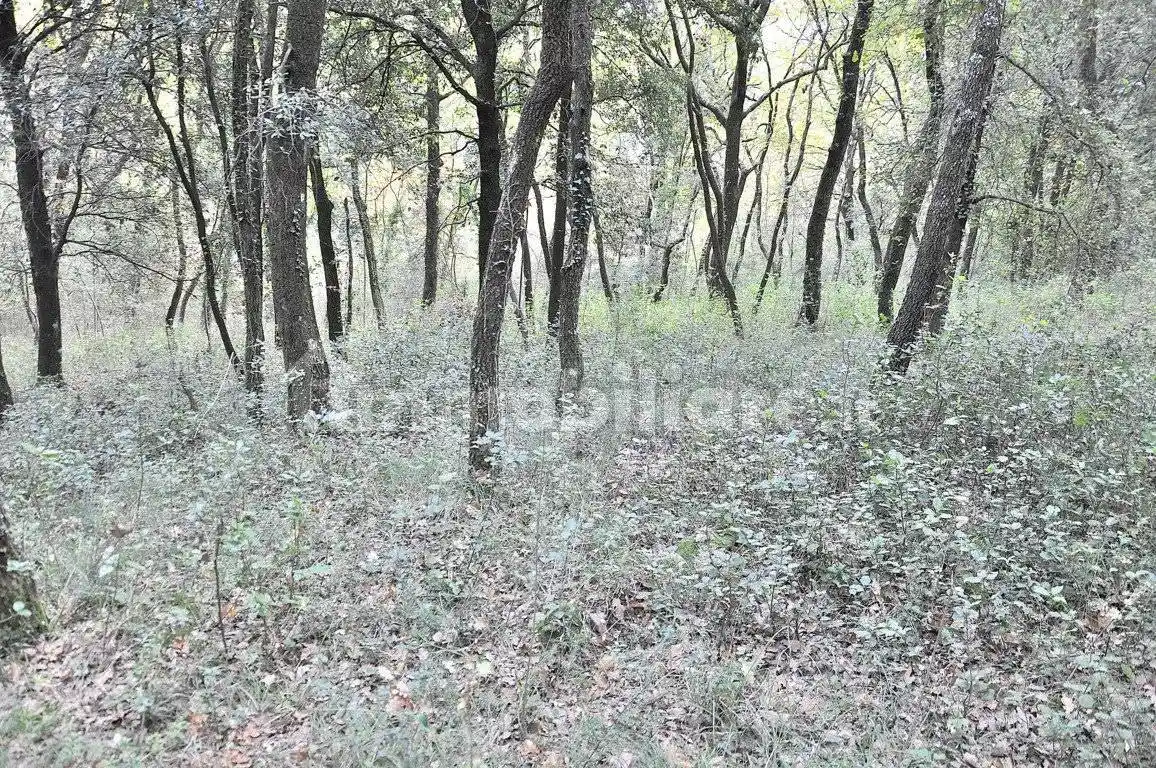 Rustico, buono stato, 120 m², Colle Umberto - Monte Tezio, Perugia - foto 5