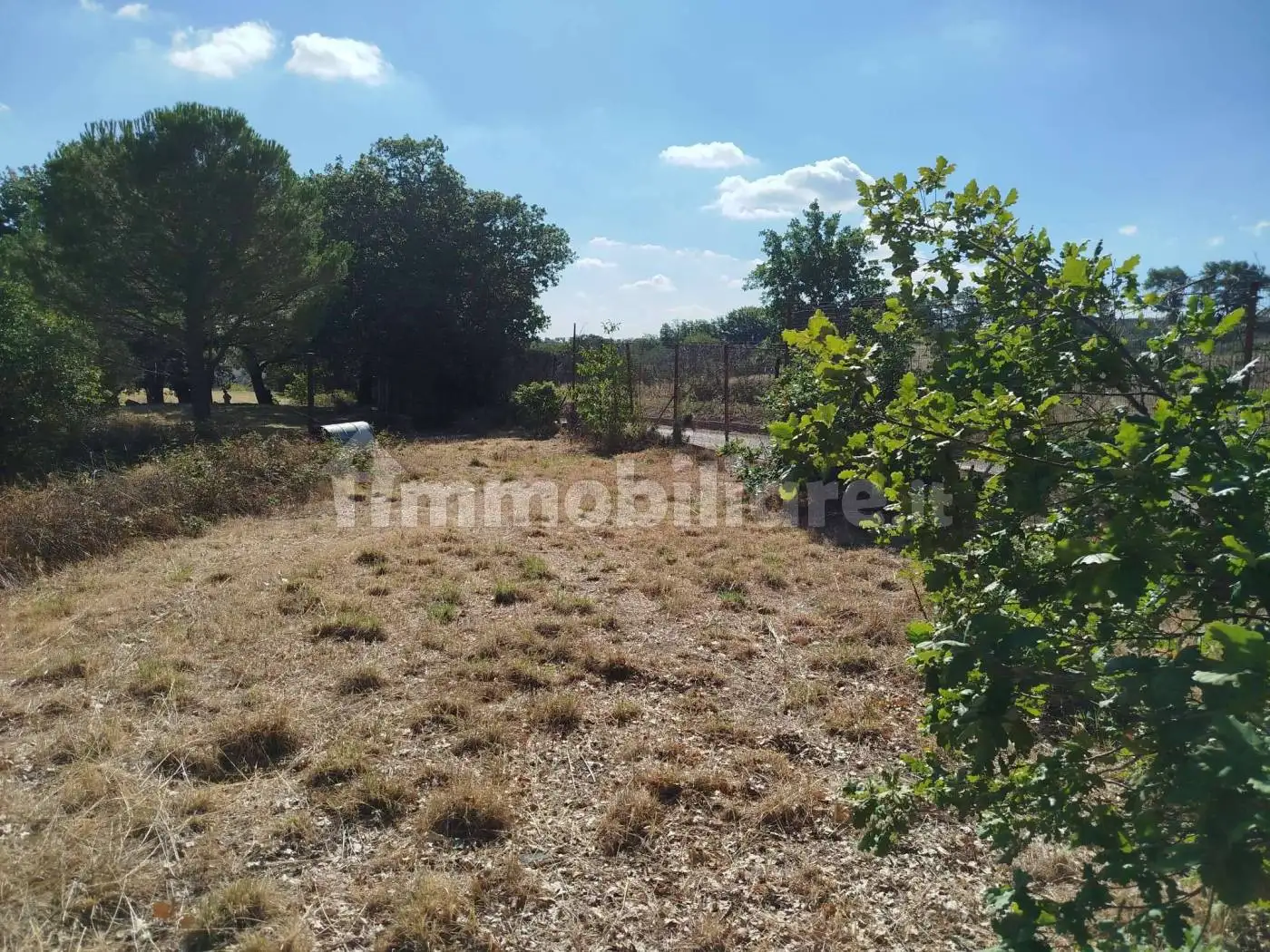 Rustico via Lago Pescara snc, Biccari - foto 5