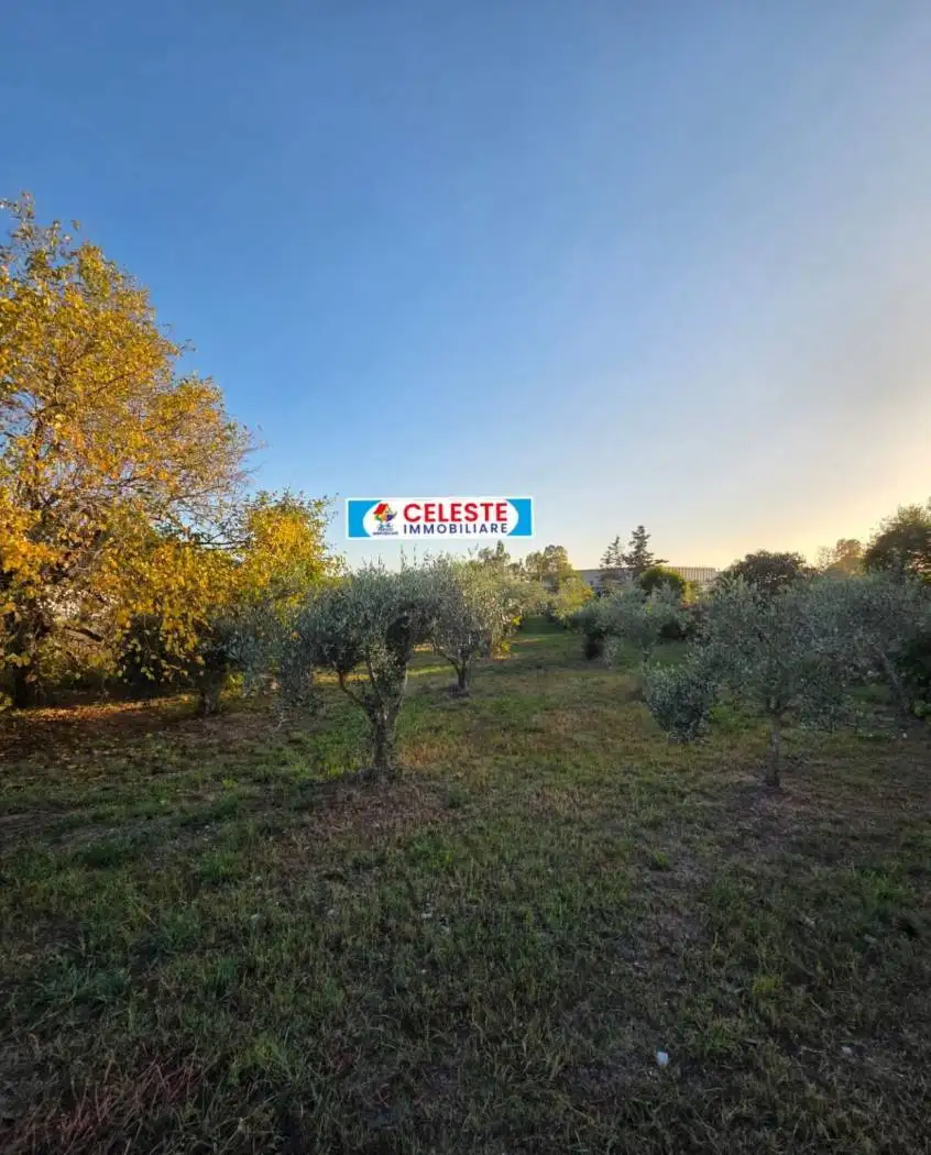 Villa unifamiliare via Piedimonte, Cellole - foto 4