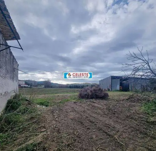 Rustico Località San Marco, Centro, Cellole - foto 3