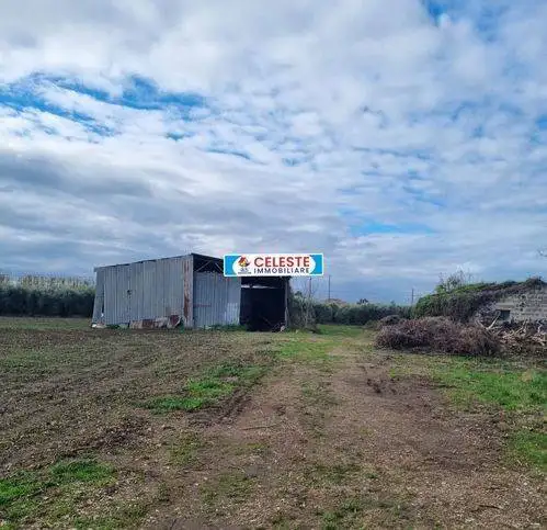 Rustico via San Marco 5, Cellole - foto 3