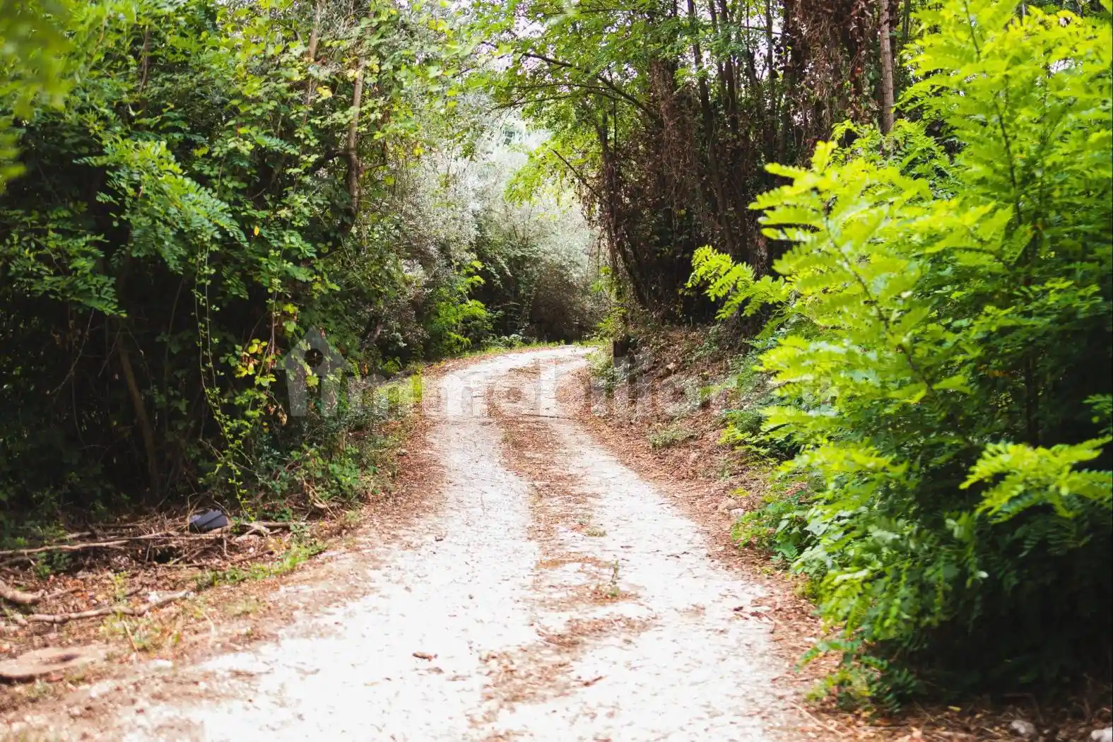 Palazzo - Edificio - foto 4