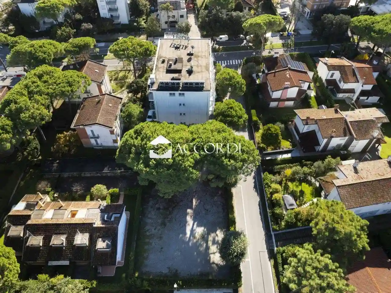 Palazzo - Edificio - foto 4