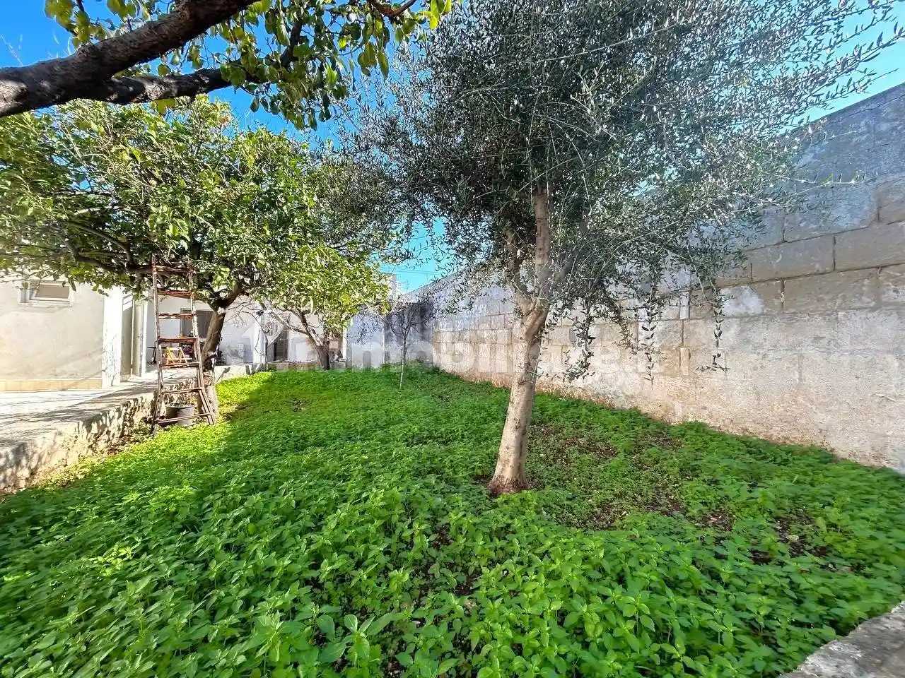 Terratetto unifamiliare Strada del Pantano, San Giorgio, Bari - foto 4