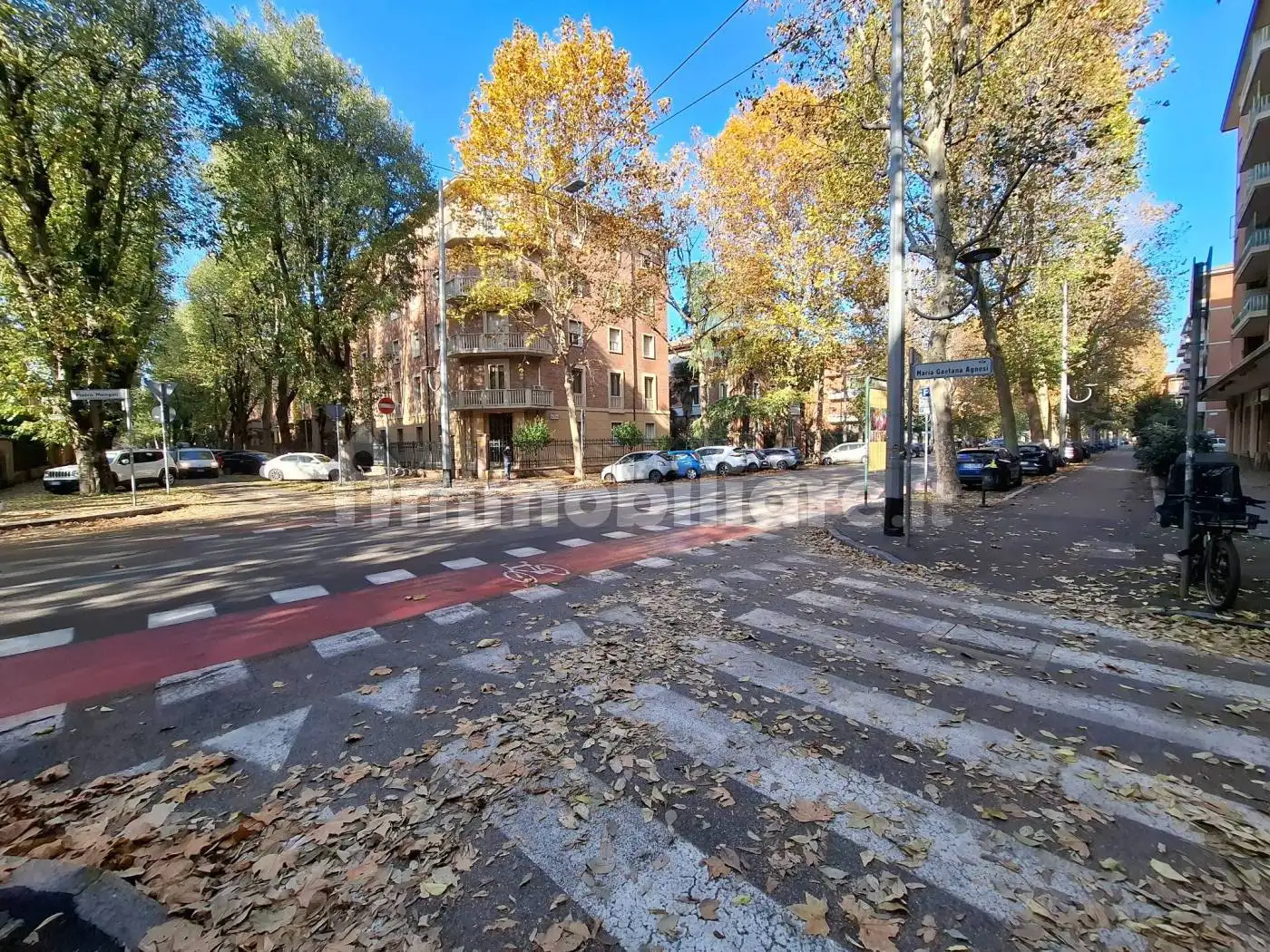 Appartamento in affitto a Bologna