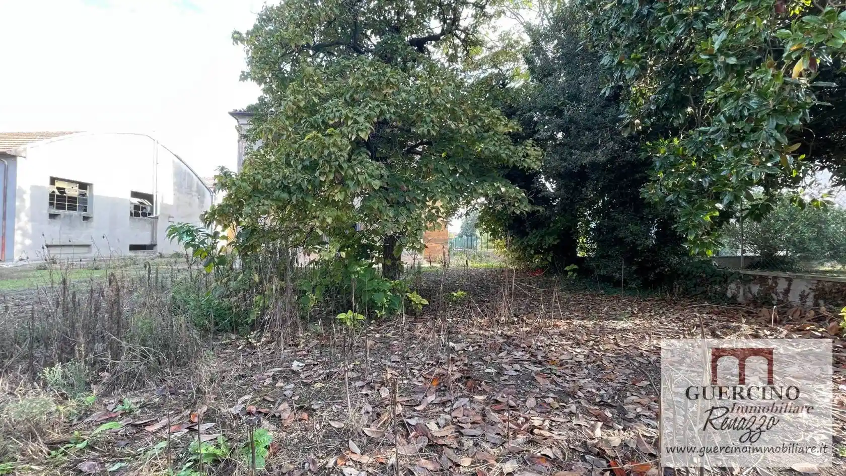 Palazzo - Edificio - foto 4