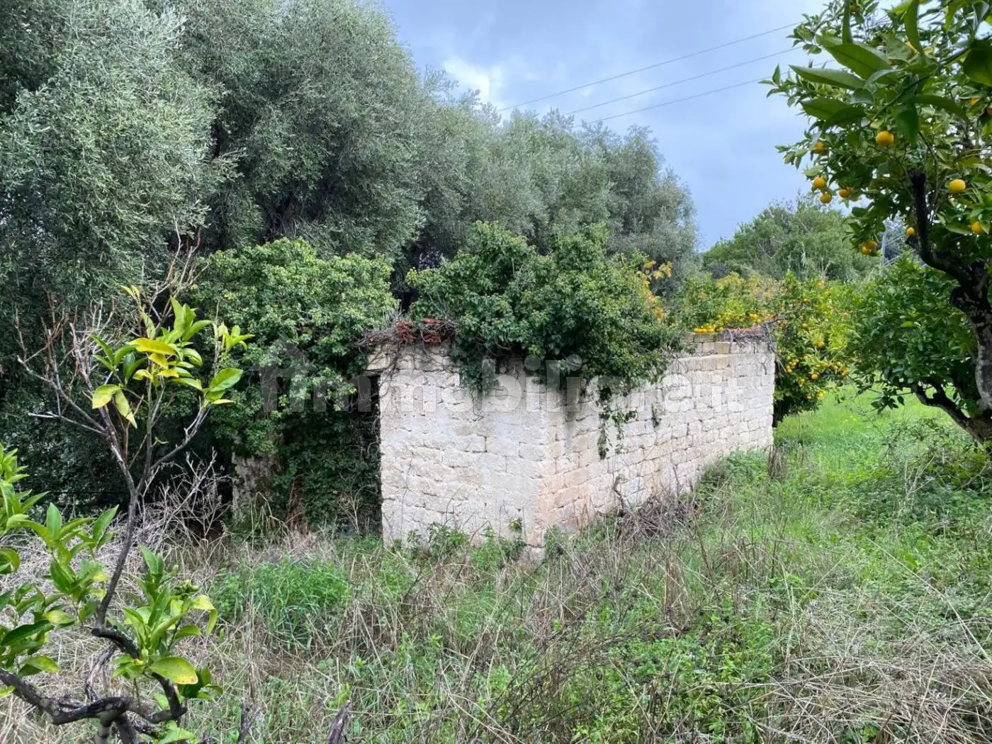 Rustico - Casale in vendita a Rodi Garganico