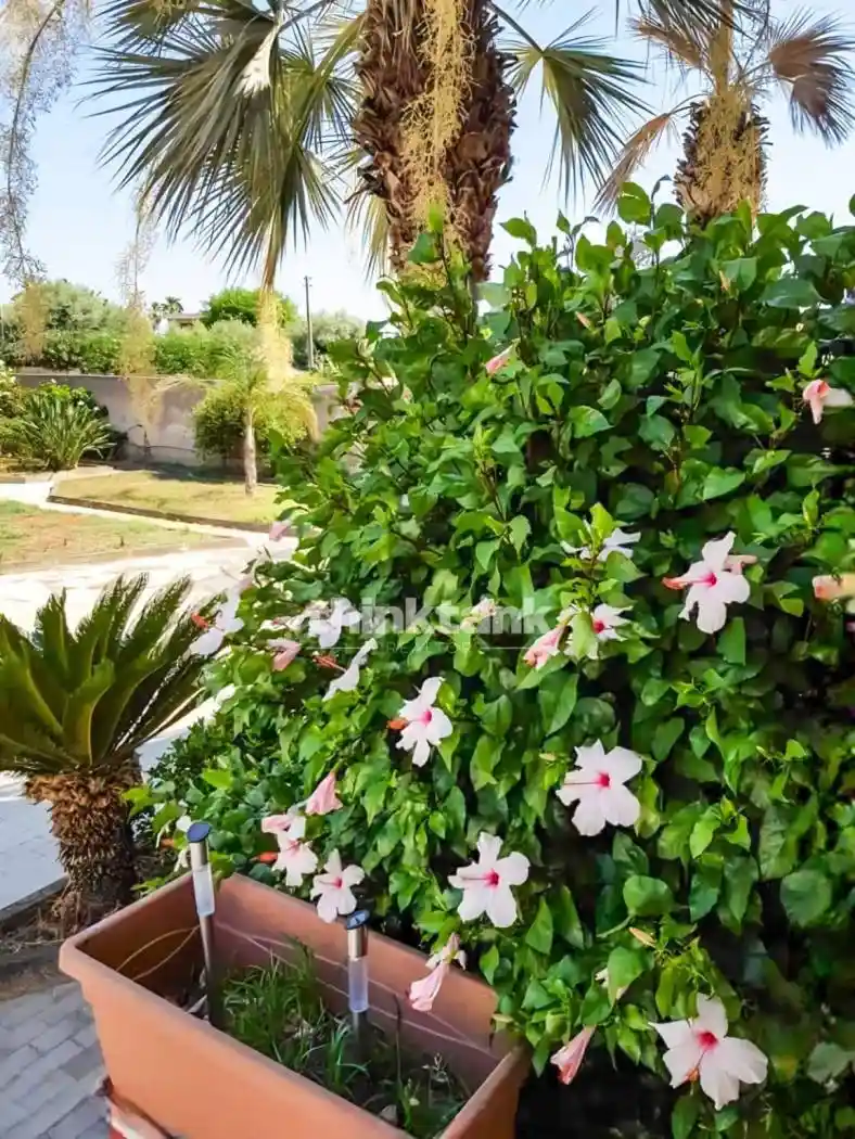 Villa unifamiliare Strada Capo Murro di Porco, Plemmirio, Siracusa - foto 3