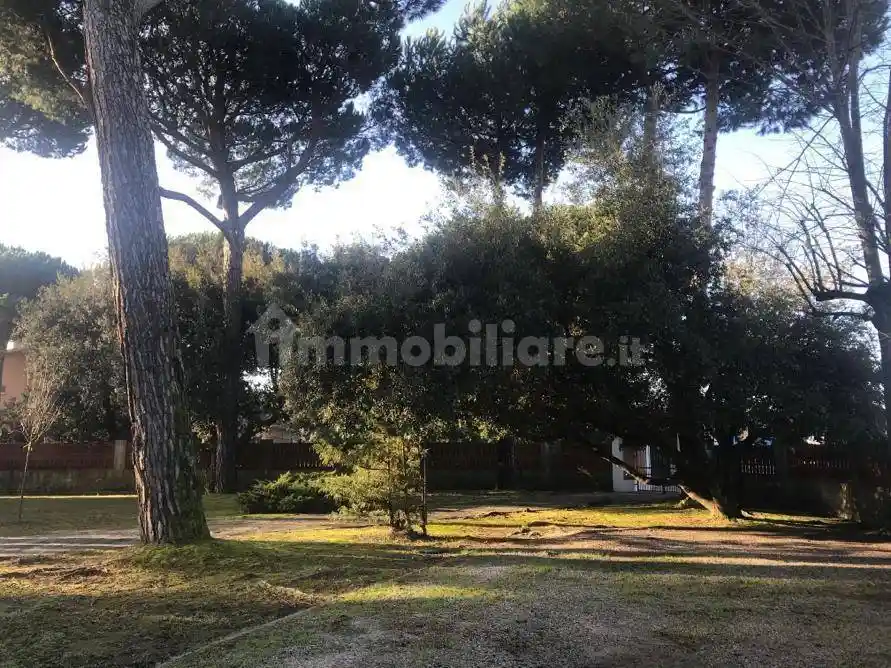 Trilocale ottimo stato, Cinquale, Montignoso - foto 3