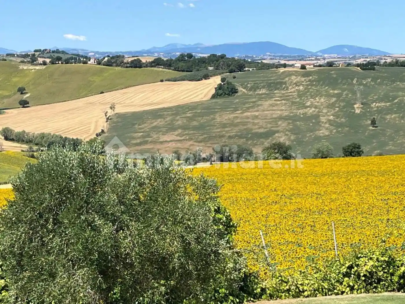 Villa unifamiliare Strada Di Santa Lucia, Scapezzano, Cannella, Roncitelli, Senigallia - foto 3