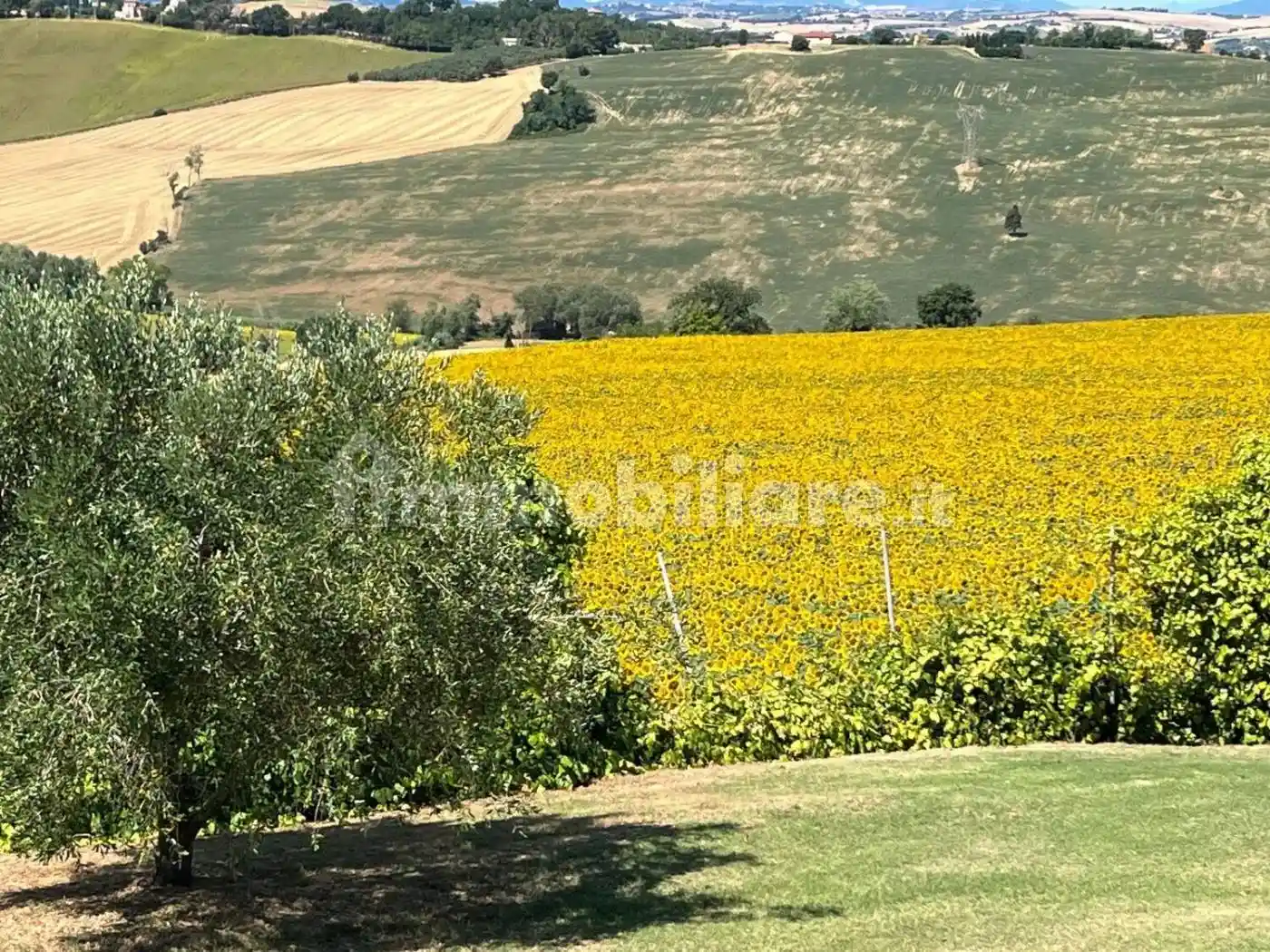 Villa unifamiliare Strada Di Santa Lucia, Scapezzano, Cannella, Roncitelli, Senigallia - foto 5