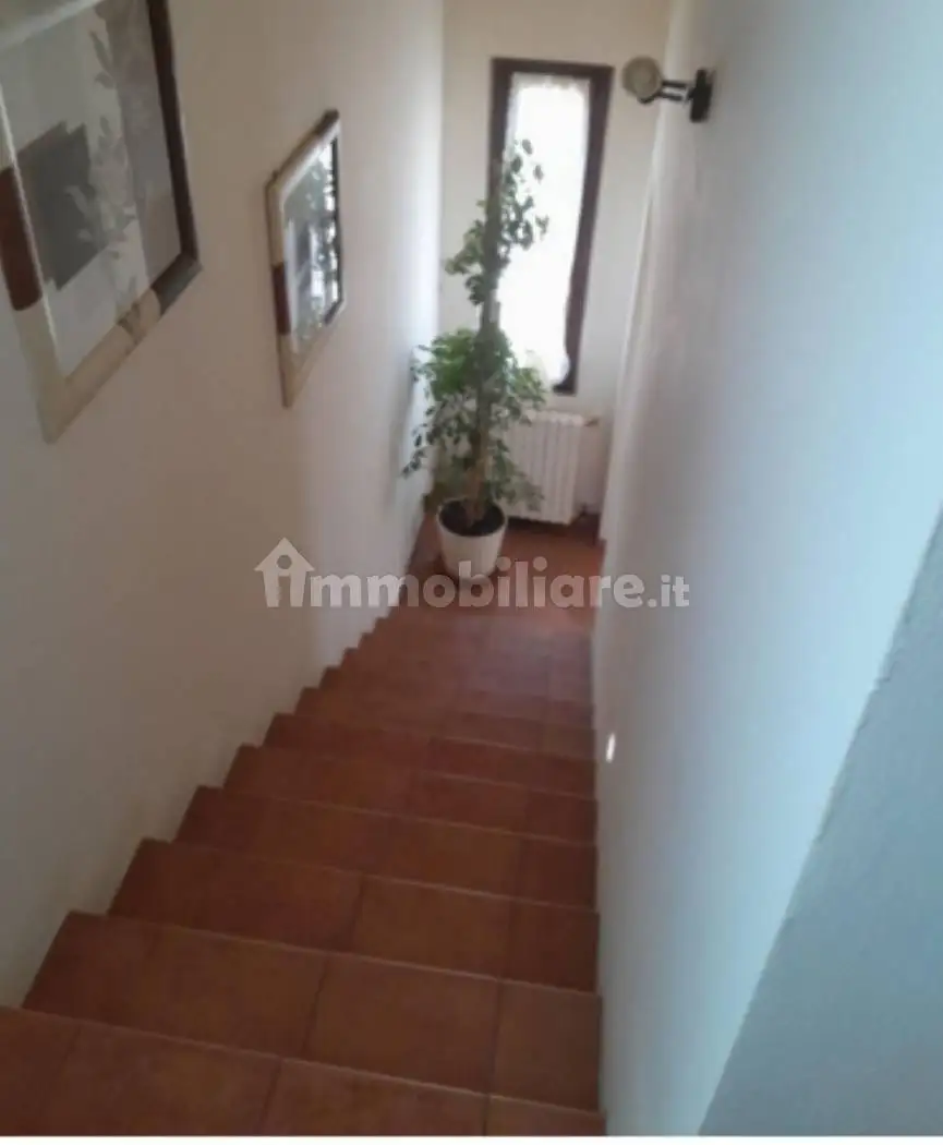 Palazzo - Stabile - foto 4