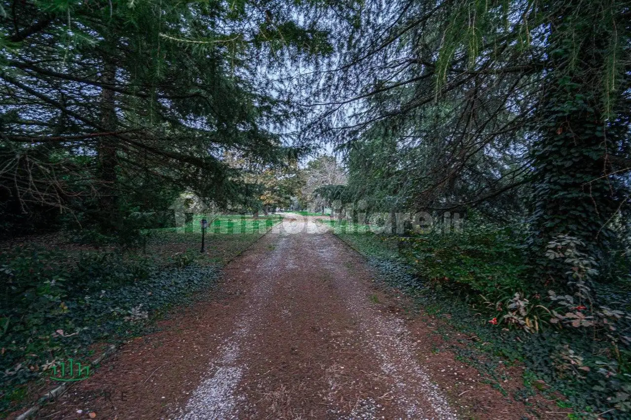 Casale via Medesano 2, Castel Guelfo di Bologna - foto 4