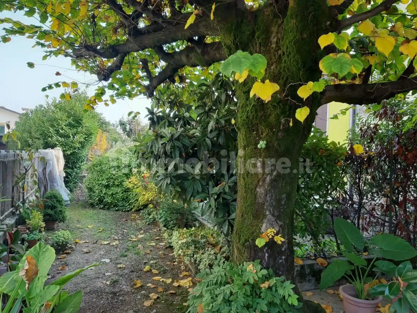 Terratetto unifamiliare 176 m², da ristrutturare, Centro, Villaverla - foto 4