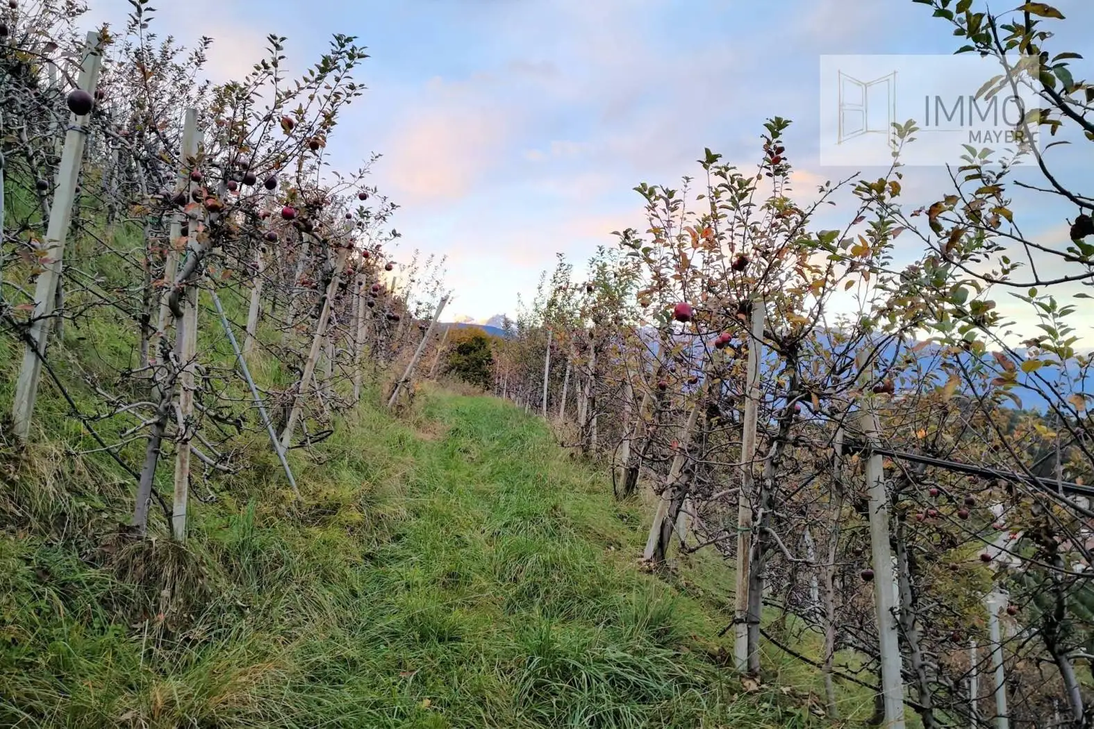 Rustico - Casale in vendita a Tesimo