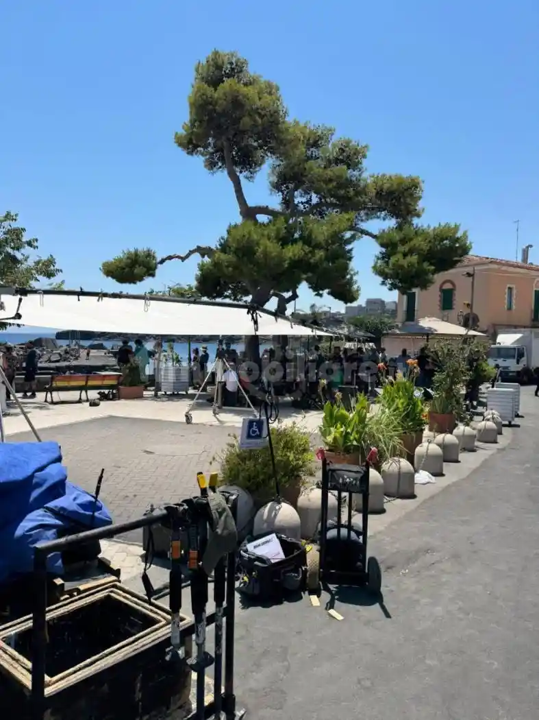 Villa unifamiliare, nuova, 209 m², Guardia - Li Cuti, Catania - foto 2