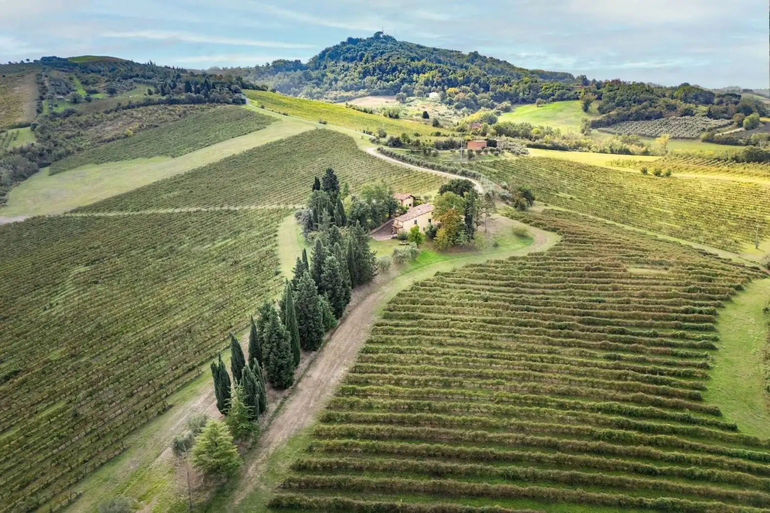 Rustico - Casale in vendita a Brisighella