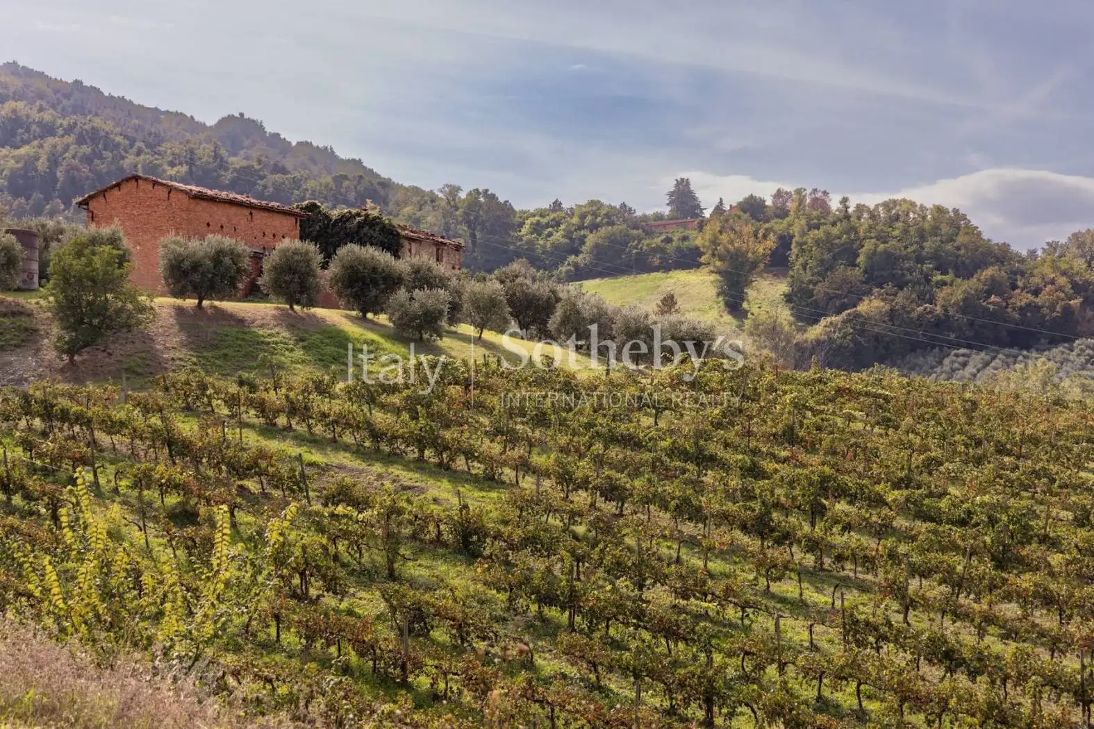 Rustico via bicocca, Brisighella - foto 5