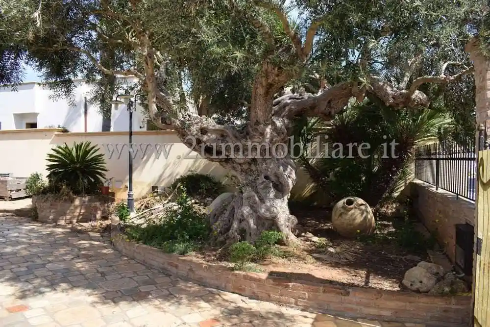 Villa unifamiliare Lungomare fata Morgana, 1, Tonnarella, Mazara del Vallo - foto 2