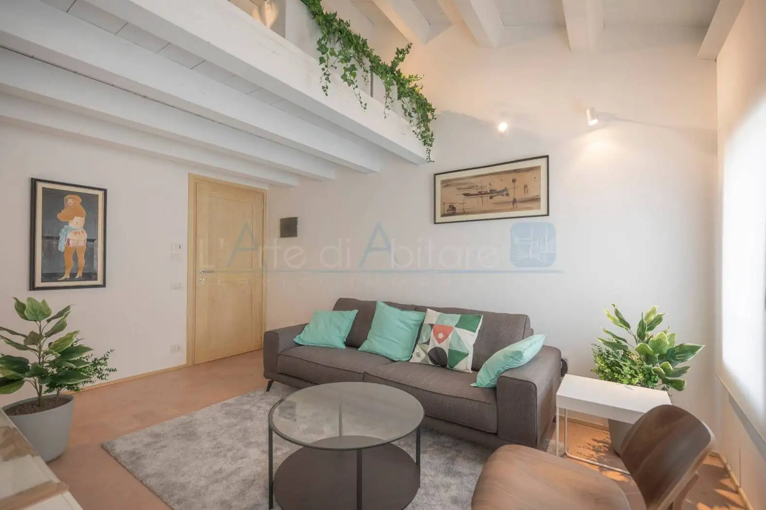 Appartamento in affitto a Dolo