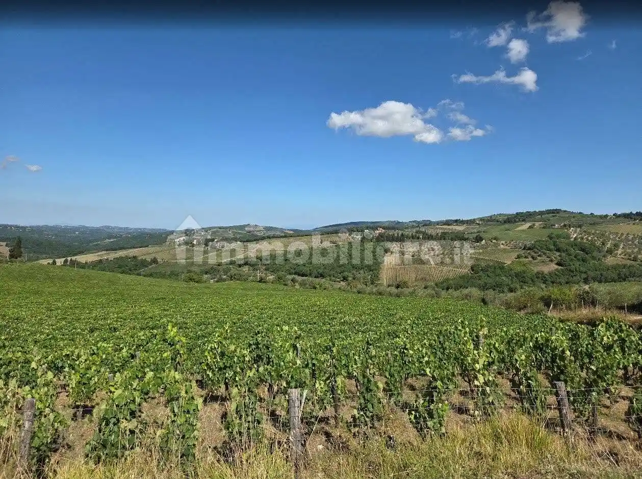 Rustico - Casale in vendita a Greve in Chianti