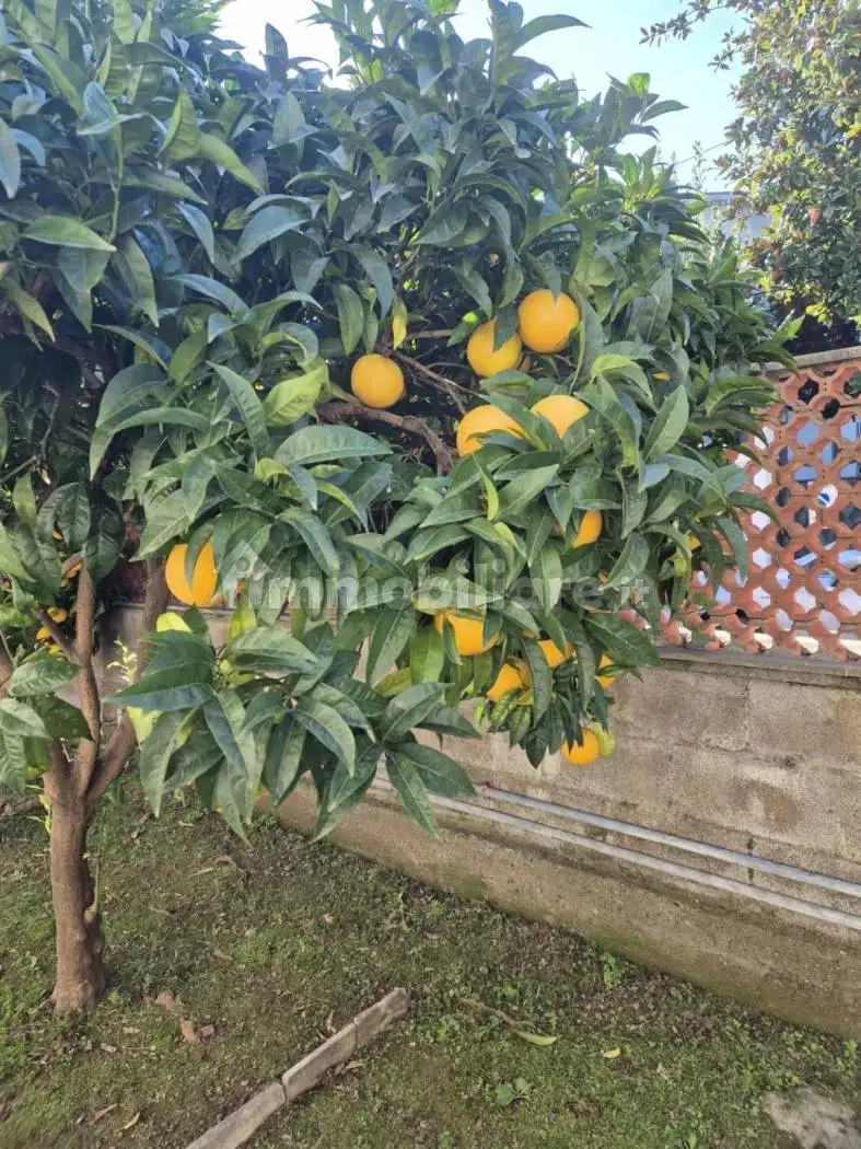 Appartamento in affitto a Carrara