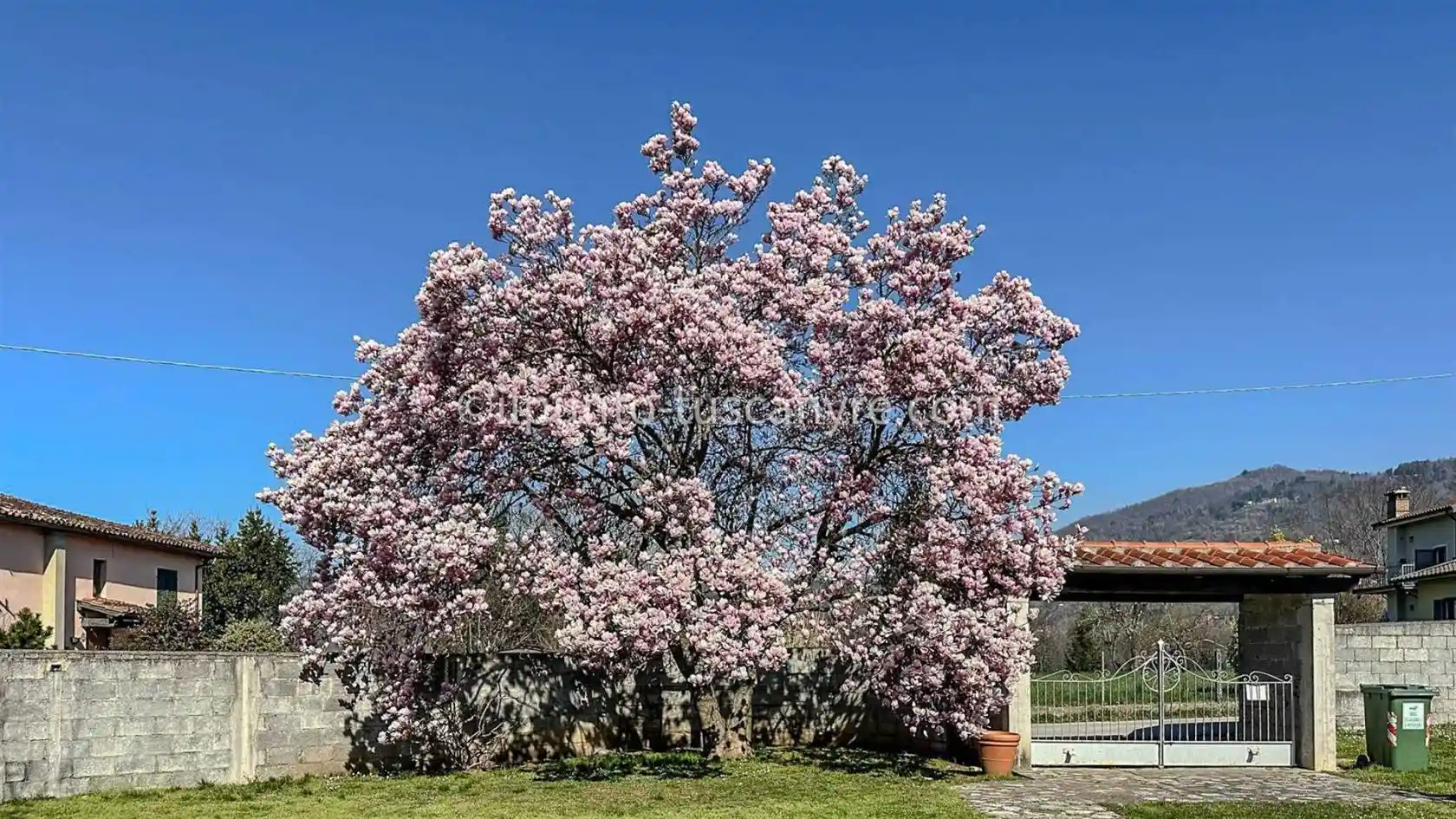 Rustico, buono stato, 260 m², Centro, Barga - foto 5