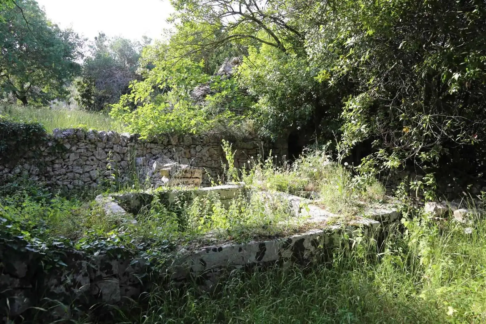 Trullo Contrada Saettone, Cisternino - foto 2
