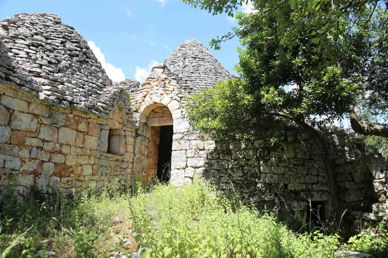 Trullo Contrada Saettone, Cisternino - foto 2