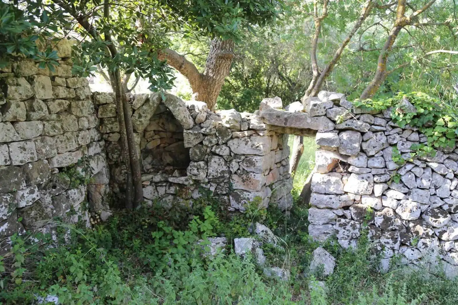 Trullo Contrada Saettone, Cisternino - foto 3