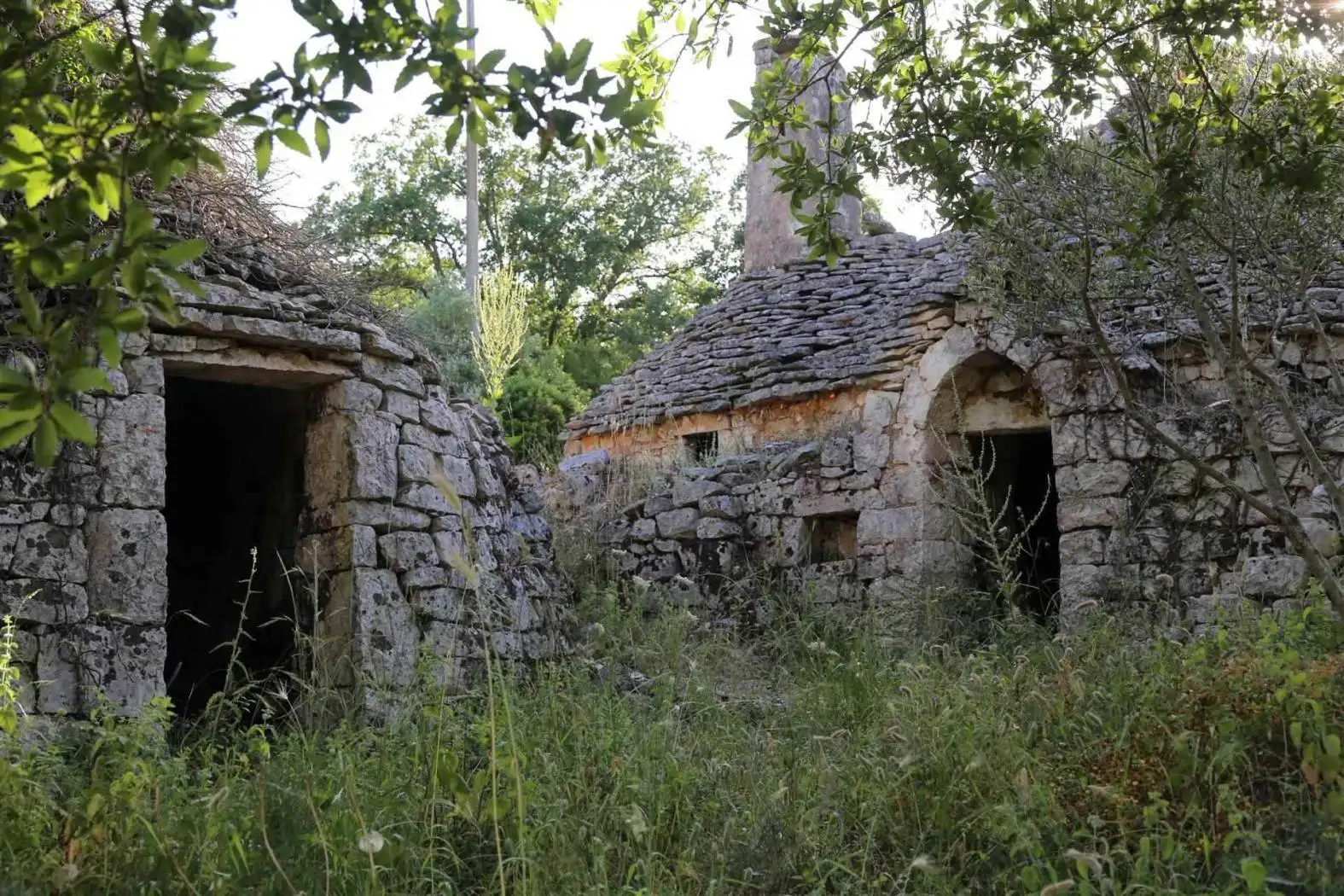 Trullo Contrada Saettone, Cisternino - foto 5