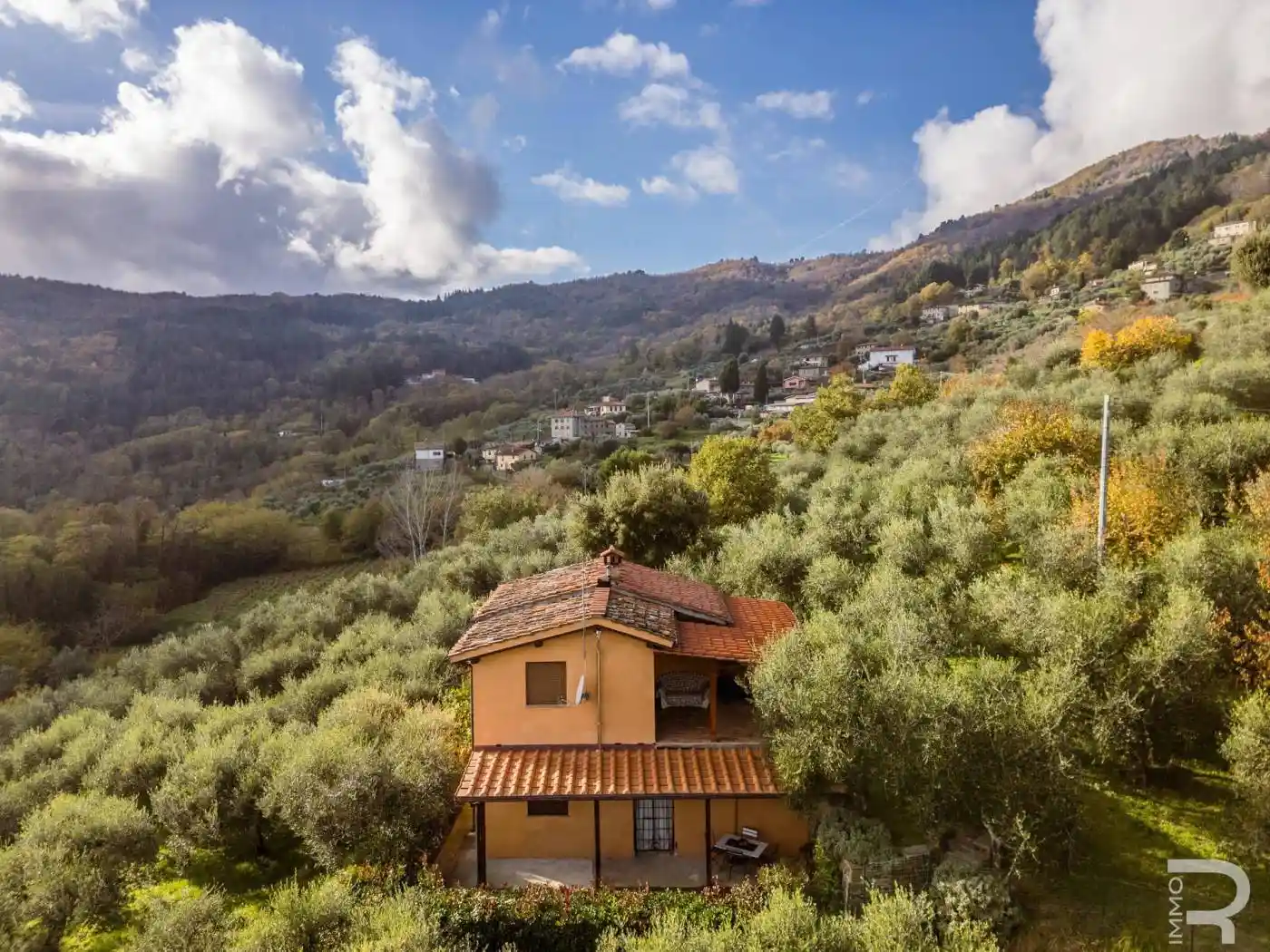 Rustico via Vittorio Emanuele II, Castelli, Pescia Nord, Pescia - foto 5