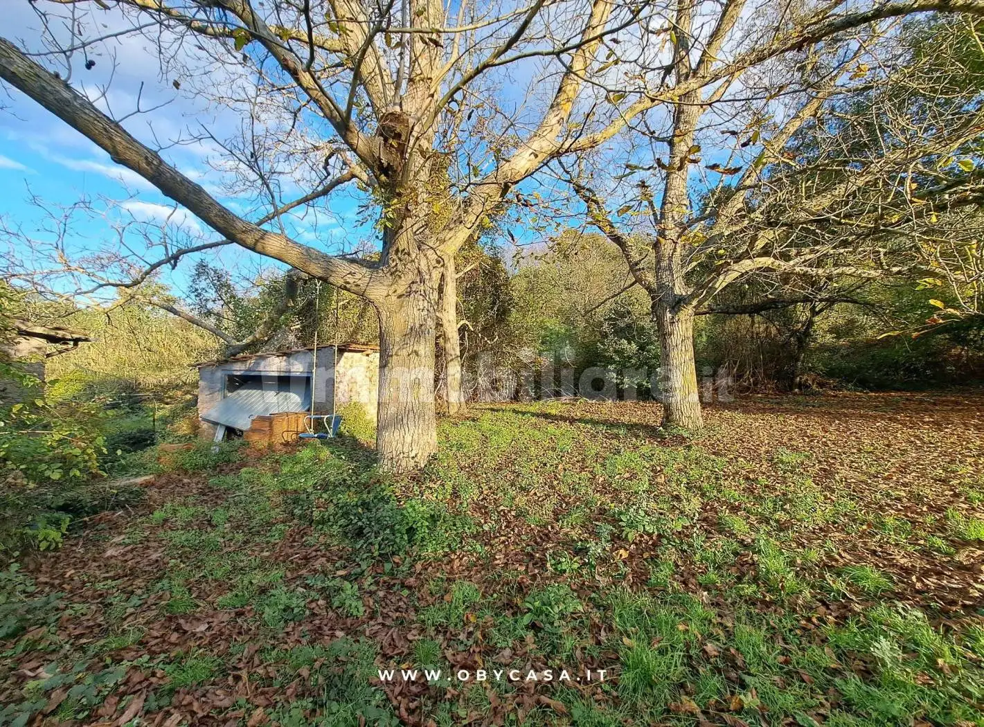 Villa unifamiliare, da ristrutturare, 125 m², Bassano Romano - foto 5