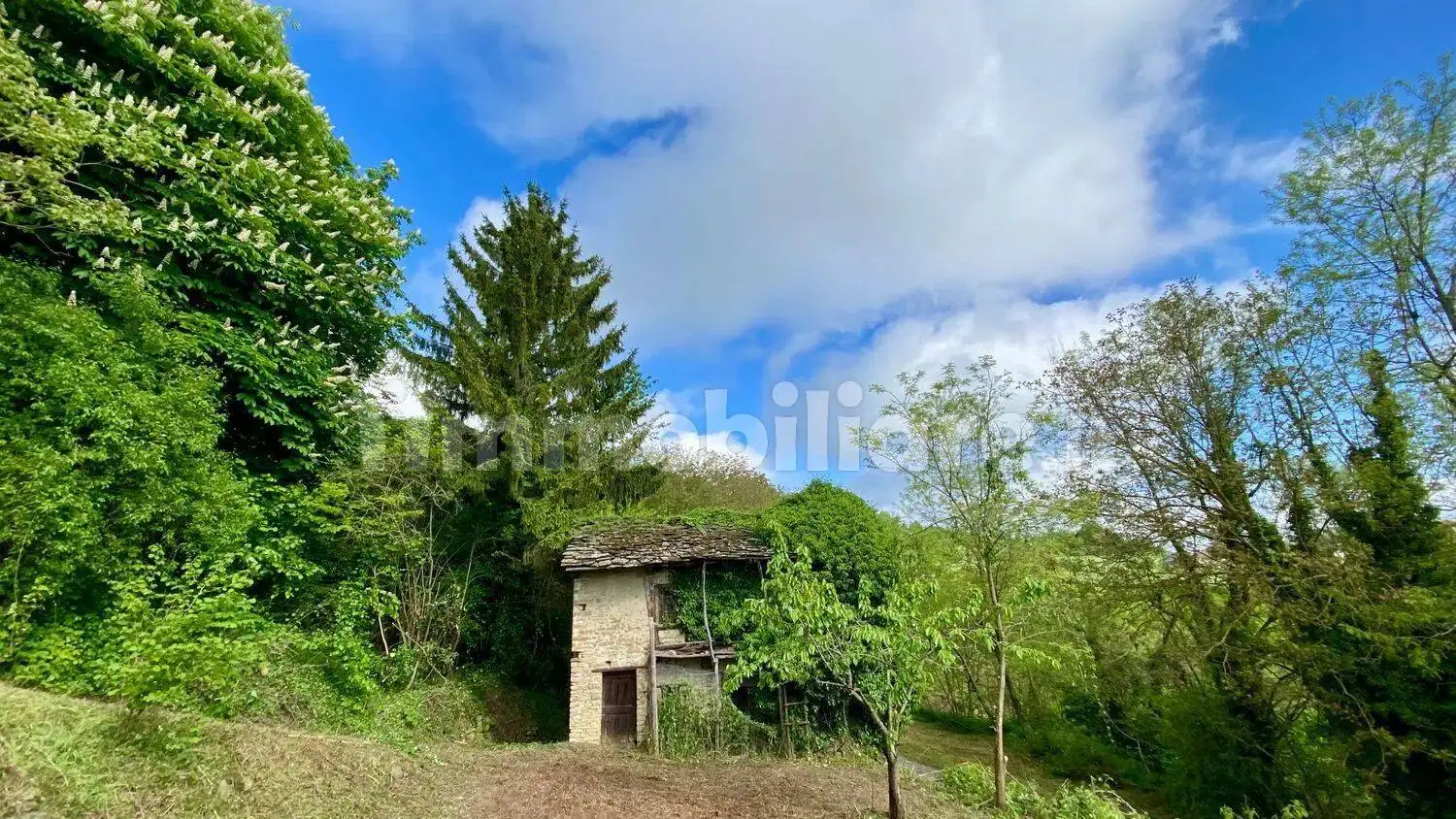 Rustico - Casale in vendita a Monesiglio