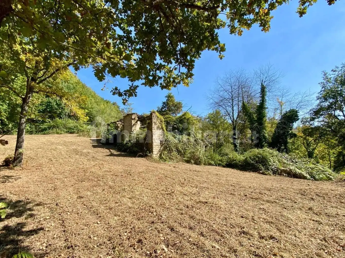 Rustico - Casale in vendita a Mombarcaro